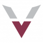 Velocity logo
