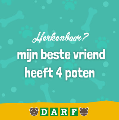 Social Media: meer volgers en fans voor DARF - Ontwerp