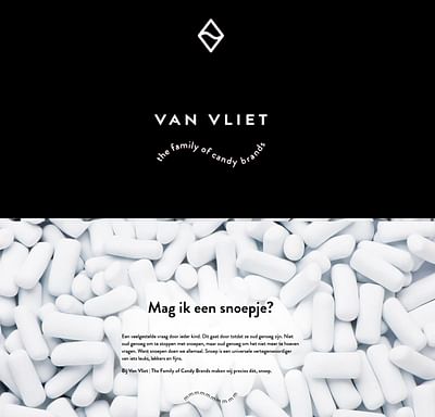 Speels webdesign voor Van Vliet - Création de site internet