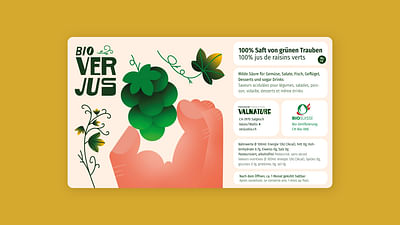 Branding & E-commerce // ValNature's "Bio Verjus" - Création de site internet