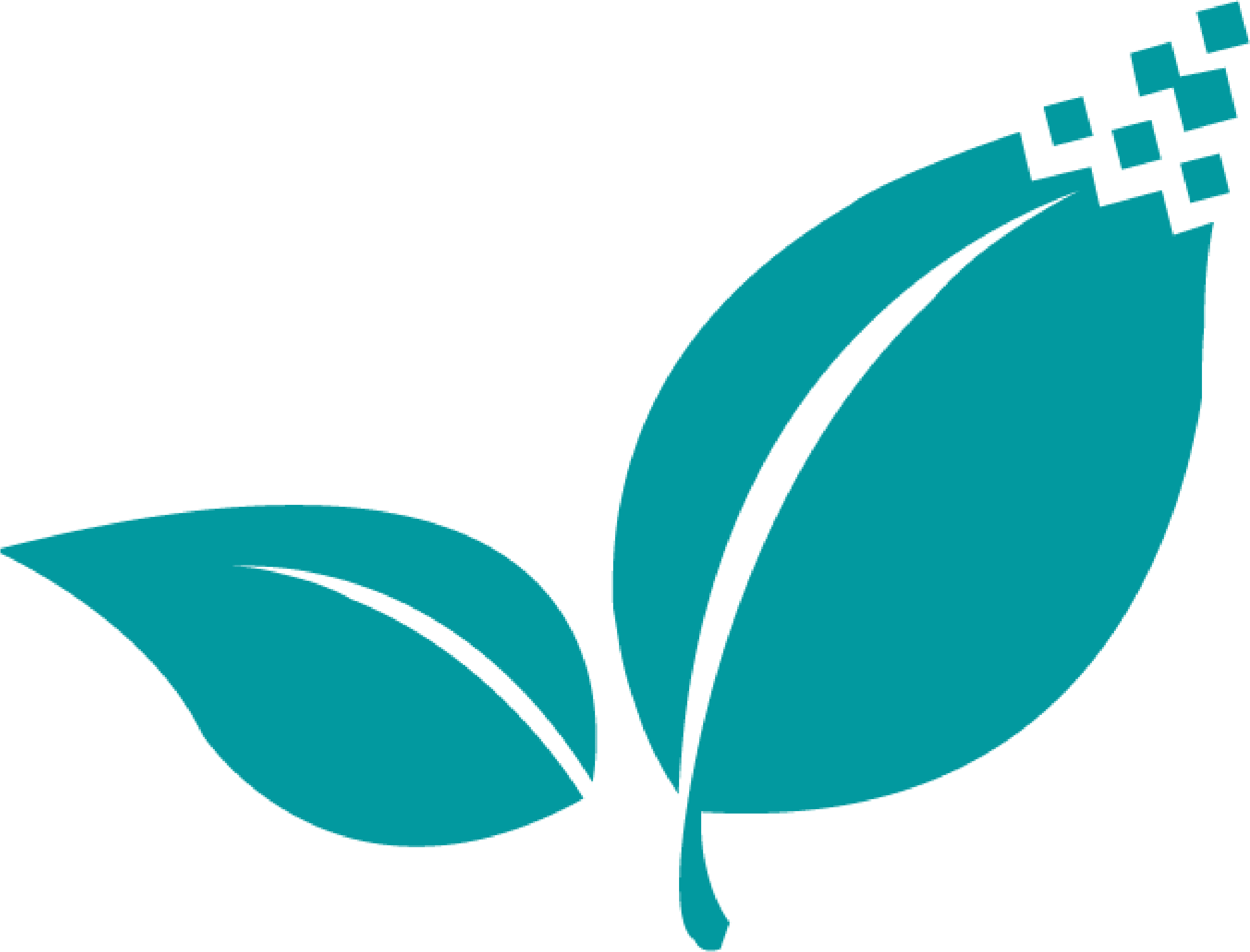 Digitalmint