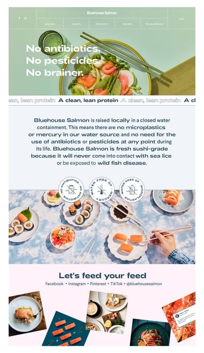 Website Experience for an American Organic Sustainable Food Brand - Création de site internet