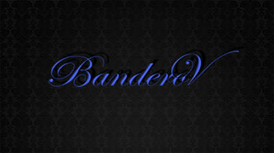 Logo for veterinary clinic Banderov - Diseño Gráfico