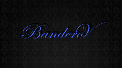 Logo for veterinary clinic Banderov - Design & graphisme
