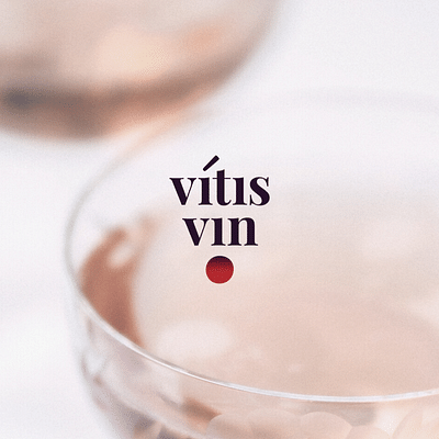 Rebranding & Digitale Marketing voor Vitis Vin - Image de marque & branding