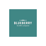 Blueberry Consulting Mauritius logo