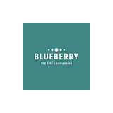 Blueberry Consulting Mauritius