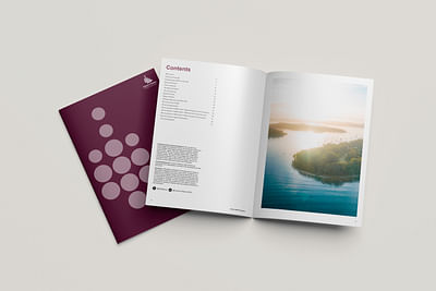 SEQ Mayors Annual Report - Graphic Design