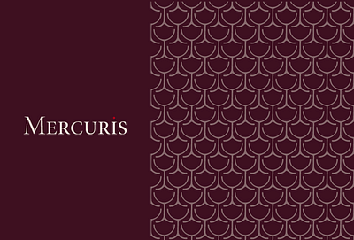 Mercuris Visual Identity - Branding & Positionering