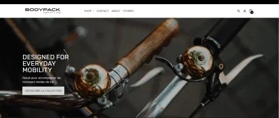 Refonte e-commerce et gestion digitale globale - Online Advertising