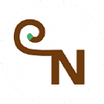 The Monkey Network