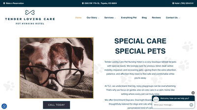 Driving Conversions for Boutique Pet Hotel - Publicité en ligne