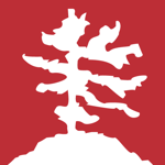 Northern Ontario Business logo