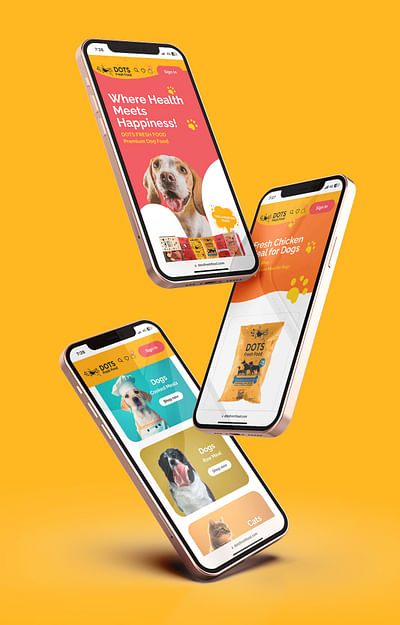 Website Optimization & Redesign - Dots Fresh Food - Webseitengestaltung