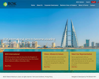 Website Design and Development - Website Creation