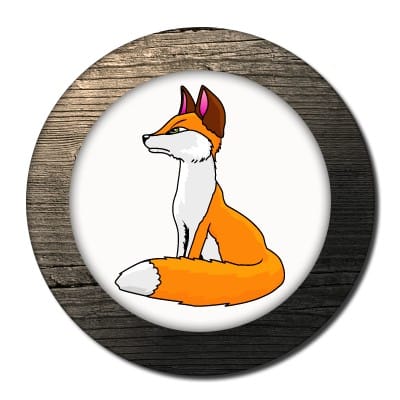 Fox Valley Web Design LLC