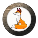 Fox Valley Web Design LLC