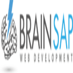 Brainsap Development