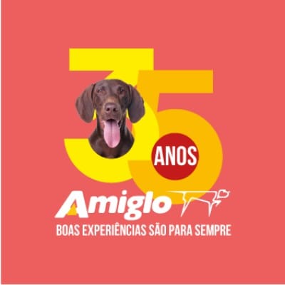 Amiglo Comunicação e Negócios