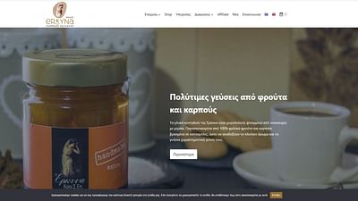 Erkyna Website Development - Création de site internet