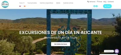 Desarrollo Web Tours en Alicante - Creación de Sitios Web