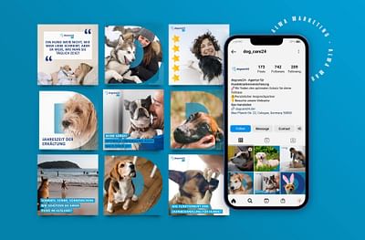 Social-Media-Marketing für dogcare24 & catcare24 - Redes Sociales