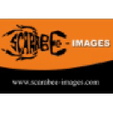 Scarabée-Images