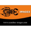 Scarabée-Images
