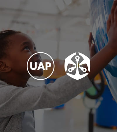 UAP Old mutual Lead generation - Digital Strategy