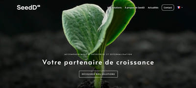 Design et graphisme SeedD - Graphic Design