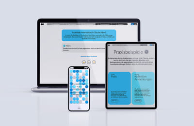 Bridging Algorithmen / Scrollytelling-Webseite - Webanwendung
