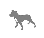 Grey Dog
