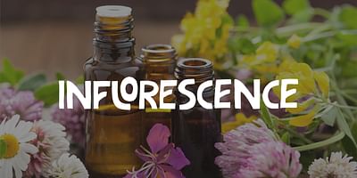 Inflorescence - Identité visuelle et site vitrine - Référencement naturel