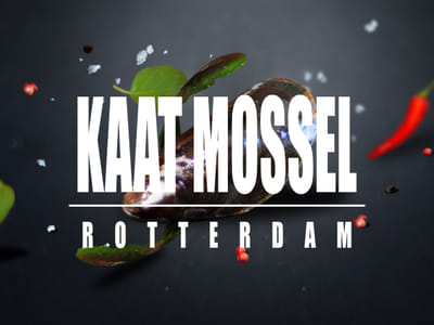 Kaat Mossel webdesign - Website Creatie