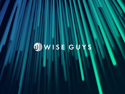 WiseGuys, Technology - Website Creation