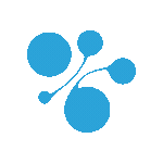 NetDevices ▪️ Agréée CII logo