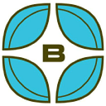 Bayleaf Software Inc.