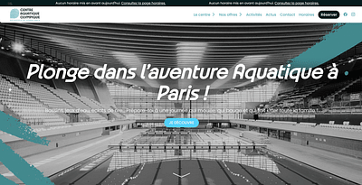 Centre Aquatique Olympique - Référencement naturel