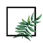 Subtle Square