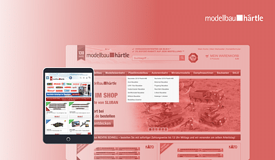 Aufbau- & Ausbau B2C Onlineshop - Webseitengestaltung
