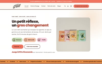 Fling Toothpicks: full Shopify rebuild with zero sales downtime - Website Creatie