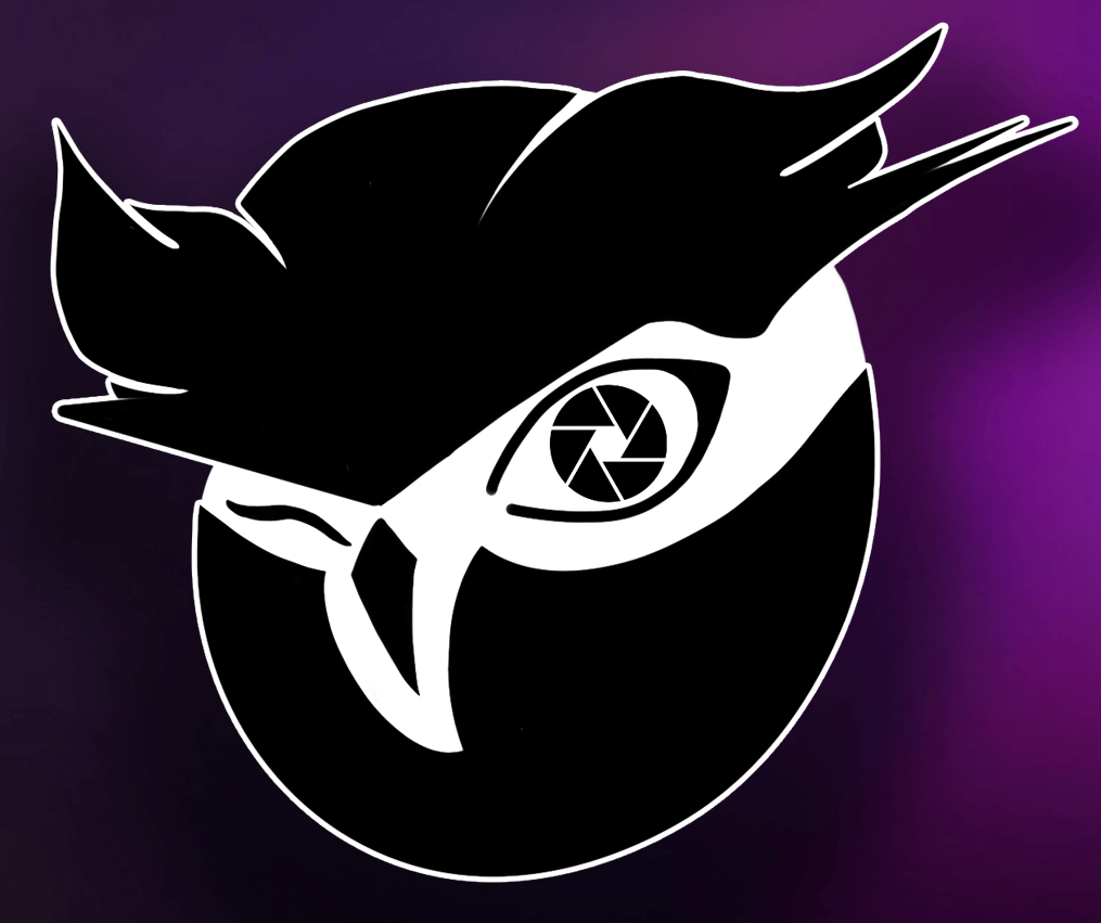 Owlview Production