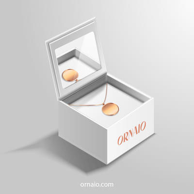 Ornaio Logo - Branding & Positioning