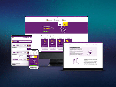 Diseño y Desarrollo a medida - Llamaya - Desarrollo de Software
