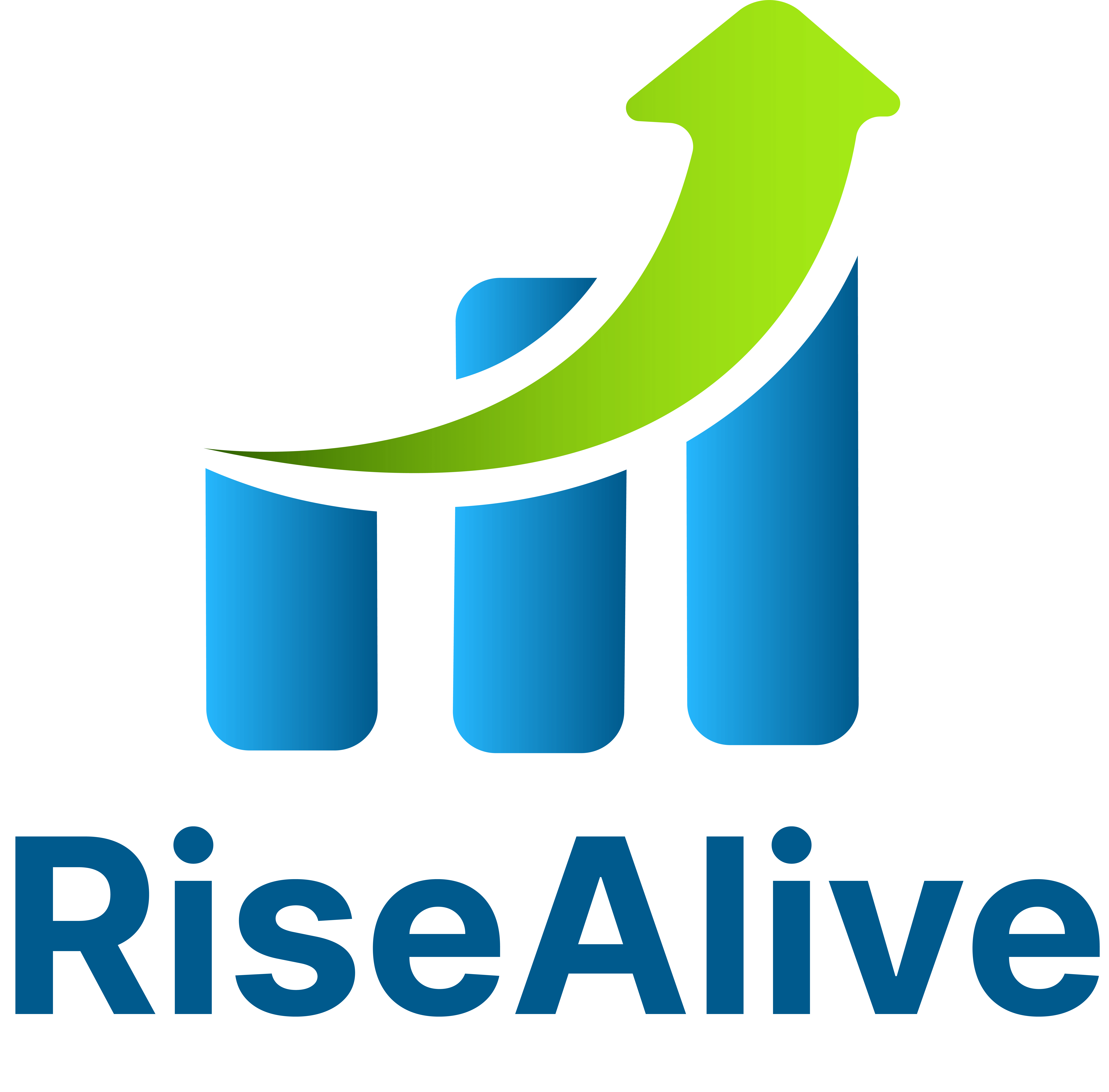RiseAlive Infotech Private Limited