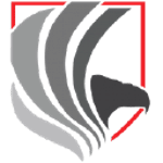 Eagle Eye International Protective Services