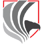 Eagle Eye International Protective Services