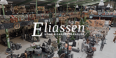 Volledige marketingontzorging voor Eliassen - Pubblicità online
