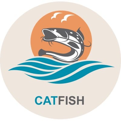 Catfish Web Design