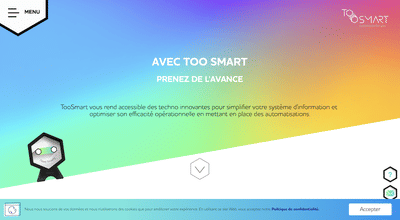 Création de site internet sur Webflow | TOOSMART - Création de site internet